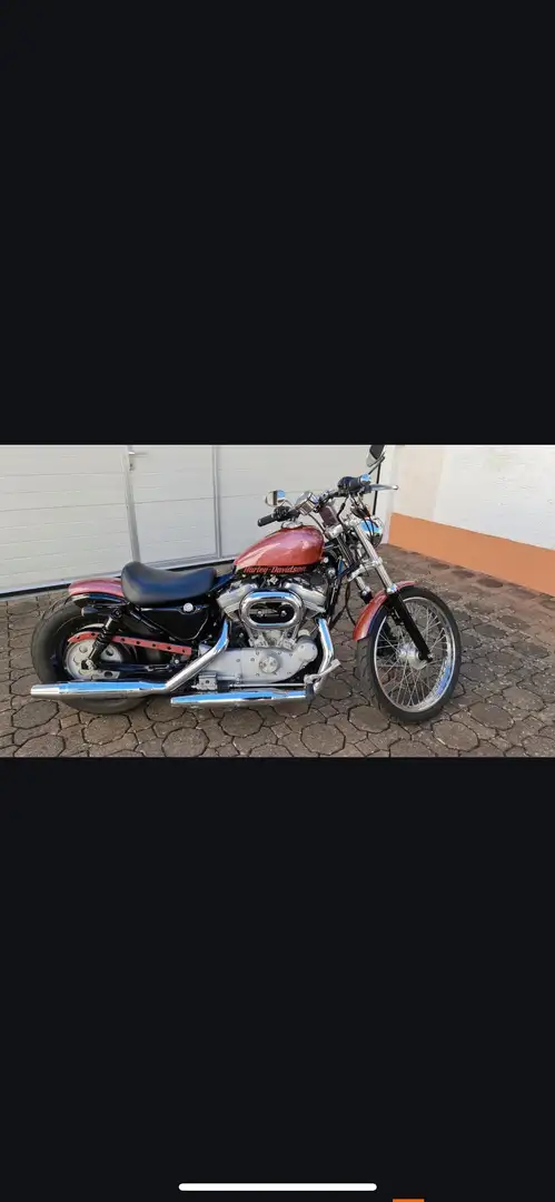 Harley-Davidson XL 883 Sportster sonderlackierung und umbauten - 2