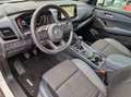 Nissan Qashqai MHEV 140 CV Tekna Wit - thumbnail 9