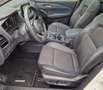 Nissan Qashqai MHEV 140 CV Tekna Bianco - thumbnail 10