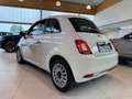 Fiat 500 Dolce Vita Blanc - thumbnail 3