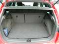 SEAT Arona XCELLENCE 1.0 TGI VollLED/Navi/PDCv+h/Kamera/Sitzh Rouge - thumbnail 19