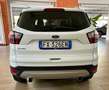 Ford Kuga Kuga 2.0 tdci Business s Bianco - thumbnail 4