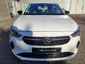 Opel Corsa F Basis, Klima,Tempomat,ZV,Alus,Allwetter Weiß - thumbnail 2
