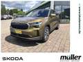 Skoda Kodiaq Selection 2.0 TDI AHZV ACC Navi Bronze - thumbnail 1