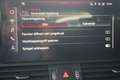 Audi Q5 50 TDI quattro S line Navi Matrix ACC RFK Grigio - thumbnail 20