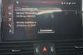 Audi Q5 50 TDI quattro S line Navi Matrix ACC RFK Grigio - thumbnail 19