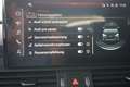Audi Q5 50 TDI quattro S line Navi Matrix ACC RFK Grigio - thumbnail 18