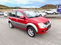 Fiat Panda Panda 4x4 Cross 1,3 16V JTD NEUES PICKERL Rosso - thumbnail 4