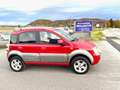 Fiat Panda Panda 4x4 Cross 1,3 16V JTD NEUES PICKERL Rosso - thumbnail 5