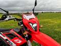 Beta RR 125 Rojo - thumbnail 5