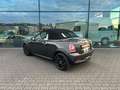 MINI Cooper S Roadster Navi Leder Bi-Xenon Sitzhzng. Grau - thumbnail 5