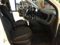 Fiat Panda Panda 1.0 Hybrid ICON - PROMO MESE + TARGA Wit - thumbnail 26