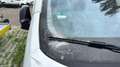 Fiat Scudo L2 SX Weiß - thumbnail 3