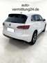 Volkswagen Touareg R-Line 4Motion LED ACC Leder Weiß - thumbnail 6