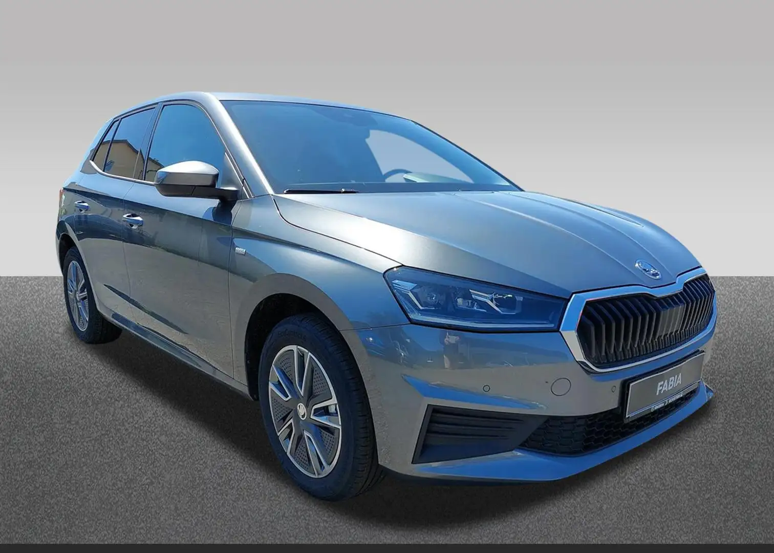 Skoda Fabia 1.0 TSI Tour+WInter+PDC vorne Grau - 1