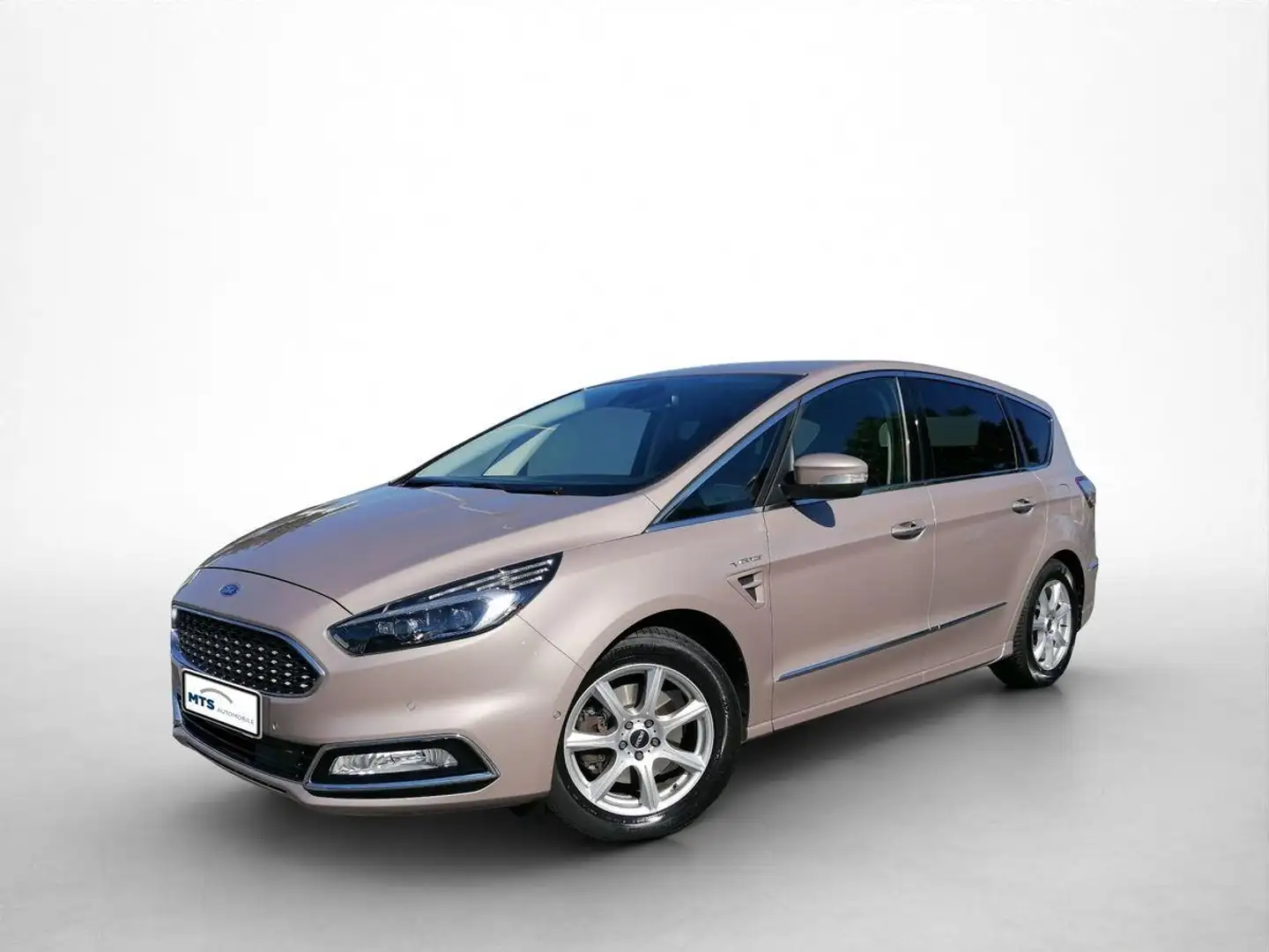 Ford S-Max 2.0 EcoBoost Vignale - 1