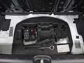 Fiat Panda City Cross 1.0 Gse 51kw (70CV) Weiß - thumbnail 29