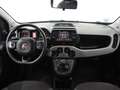 Fiat Panda City Cross 1.0 Gse 51kw (70CV) Weiß - thumbnail 7