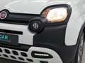 Fiat Panda City Cross 1.0 Gse 51kw (70CV) Weiß - thumbnail 27