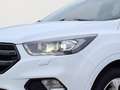 Ford Kuga 1.5 EcoBoost  ST-Line/NAVI/Xenon/SHZ/Alu18" bijela - thumbnail 5
