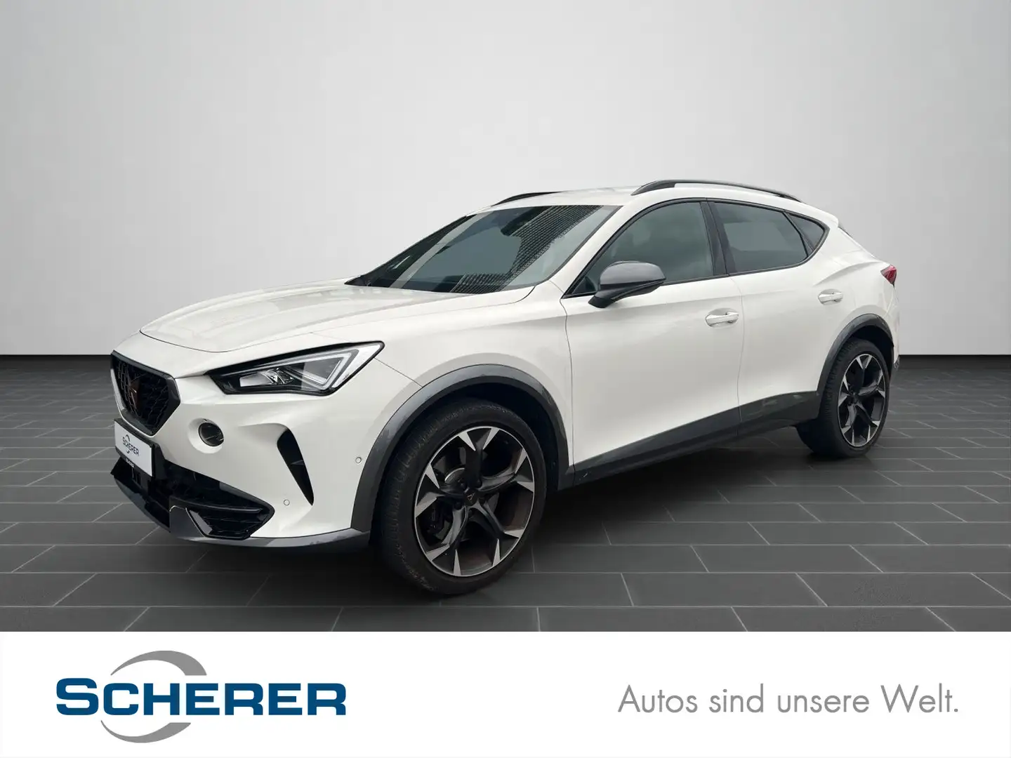 CUPRA Formentor 2.0 TSI LED KAMERA NAVI SITZHEIZUNG Weiß - 1