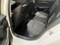 Skoda Octavia Combi 1.0 TSI DSG ACC Kamera Navi PDC Weiß - thumbnail 13