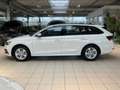Skoda Octavia Combi 1.0 TSI DSG ACC Kamera Navi PDC Weiß - thumbnail 10