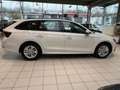 Skoda Octavia Combi 1.0 TSI DSG ACC Kamera Navi PDC Weiß - thumbnail 4