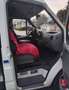 Ford Transit 2.5 TD Camper – Spezialkraftwagen mit Wohneinrichtung Weiß - thumbnail 24