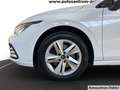 Volkswagen Golf Variant Golf VIII Variant Life 2.0 TDI DSG PDC DAB+ Navi Blanco - thumbnail 6