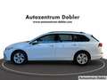 Volkswagen Golf Variant Golf VIII Variant Life 2.0 TDI DSG PDC DAB+ Navi Blanco - thumbnail 5