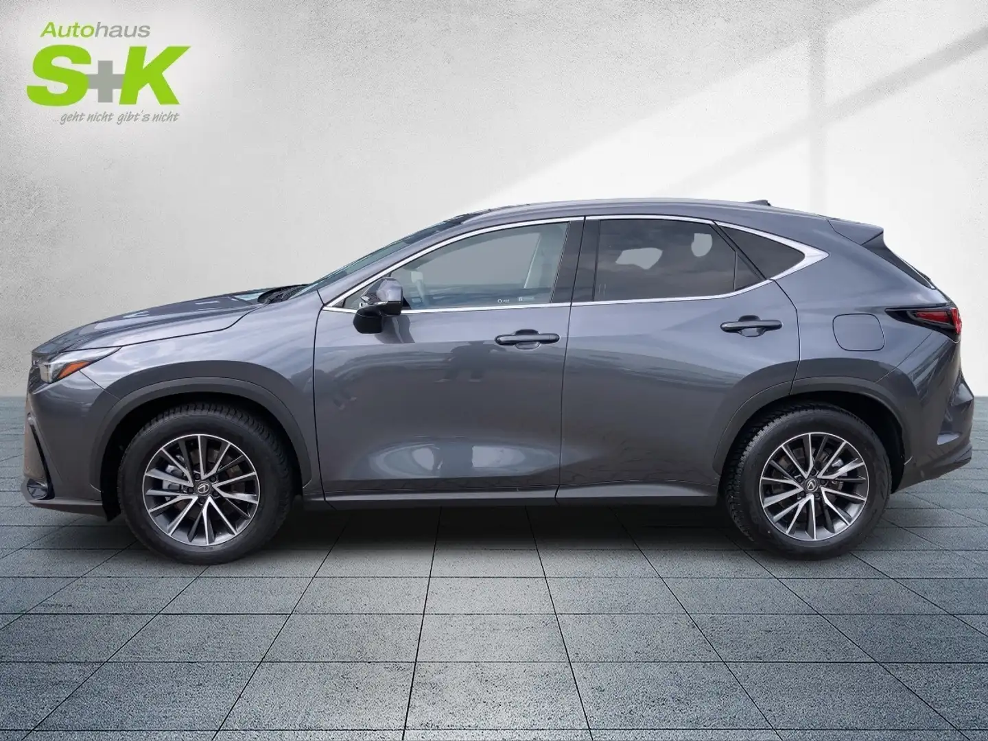 Lexus NX 350h 350h Executive Line*SHZ*NAVI*360° KAMERA*GJR* Šedá - 2