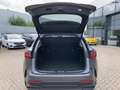 Lexus NX 350h 350h Executive Line*SHZ*NAVI*360° KAMERA*GJR* Gri - thumbnail 13