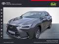 Lexus NX 350h 350h Executive Line*SHZ*NAVI*360° KAMERA*GJR* Šedá - thumbnail 1