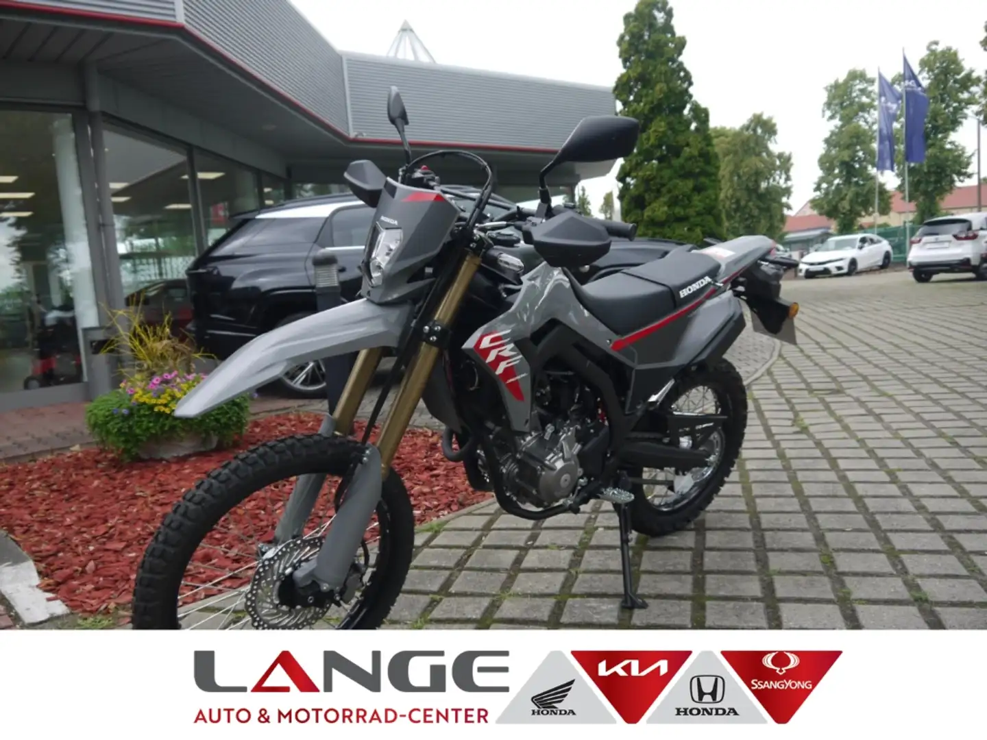 Honda CRF 300 L CRF300LAS 2ED ND22 Сірий - 1