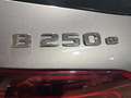 Mercedes-Benz B 250 250e AMG Gris - thumbnail 8