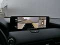 Mazda CX-60 2.5 e-SkyActiv PHEV Homura 327 Pk Automaat Navi / Rood - thumbnail 47