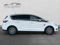 Ford S-Max 2.0 EcoBlue 150 7 POSTI TITANIUM FULL Bianco - thumbnail 8