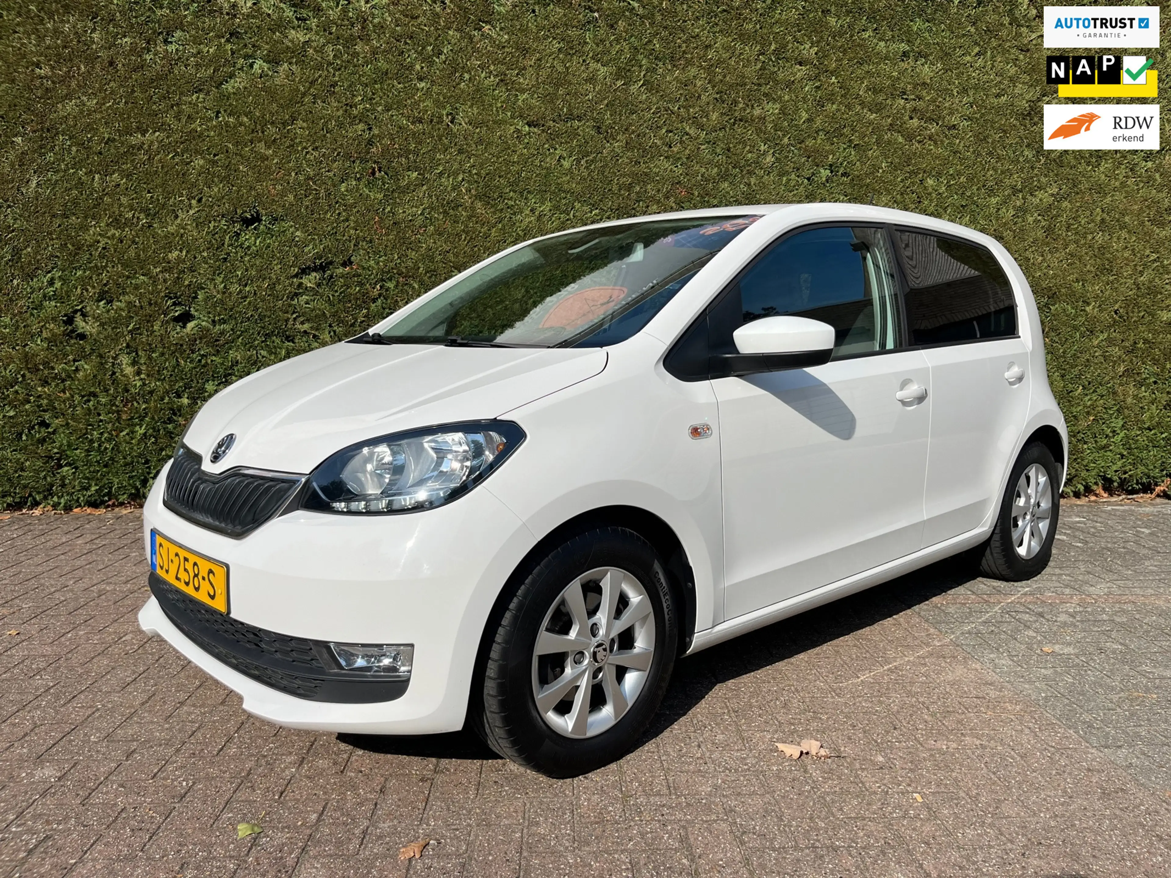 Skoda Citigo 1.0 Greentech Ambition Airco, Cruise controle, 65.
