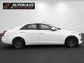 Cadillac CTS Luxury 2,0 Turbo Aut. | 1.BESITZ | TOP AUSSTATT... Weiß - thumbnail 5
