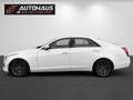 Cadillac CTS Luxury 2,0 Turbo Aut. | 1.BESITZ | TOP AUSSTATT... Weiß - thumbnail 2