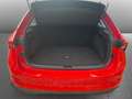 Skoda Scala Cool Plus 1.0 TSI CARPLAY LANE ASSIST Rot - thumbnail 4