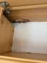 Fiat Dethleffs Globetrotter 2.8 TDI- 1.Hand /Dusche - thumbnail 11