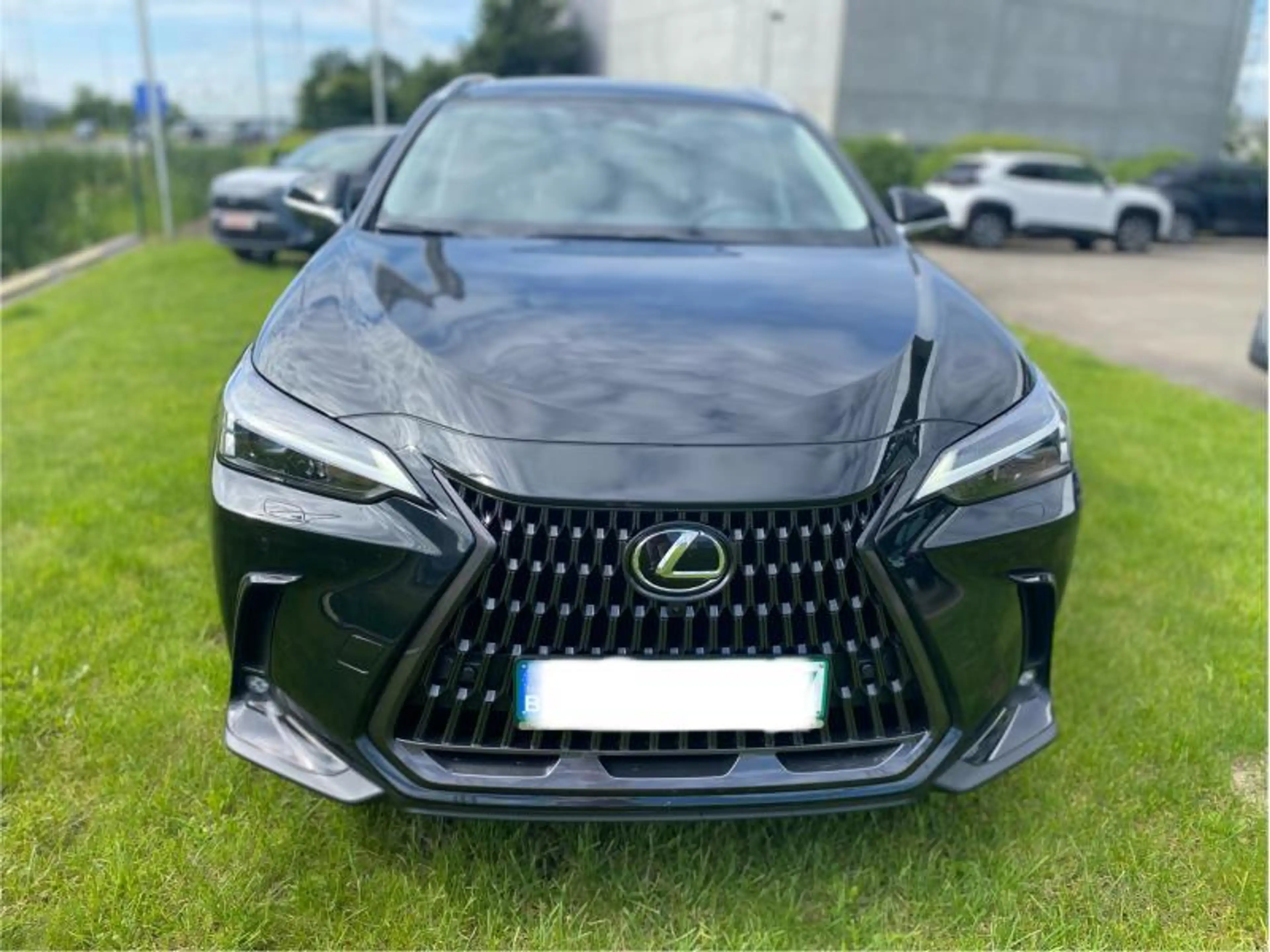 Lexus NX 350h Executive AWD + PANO DAK + HUD — photo 6