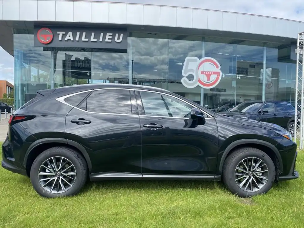 Lexus NX 350h 2024 из Европы — купить под ключ