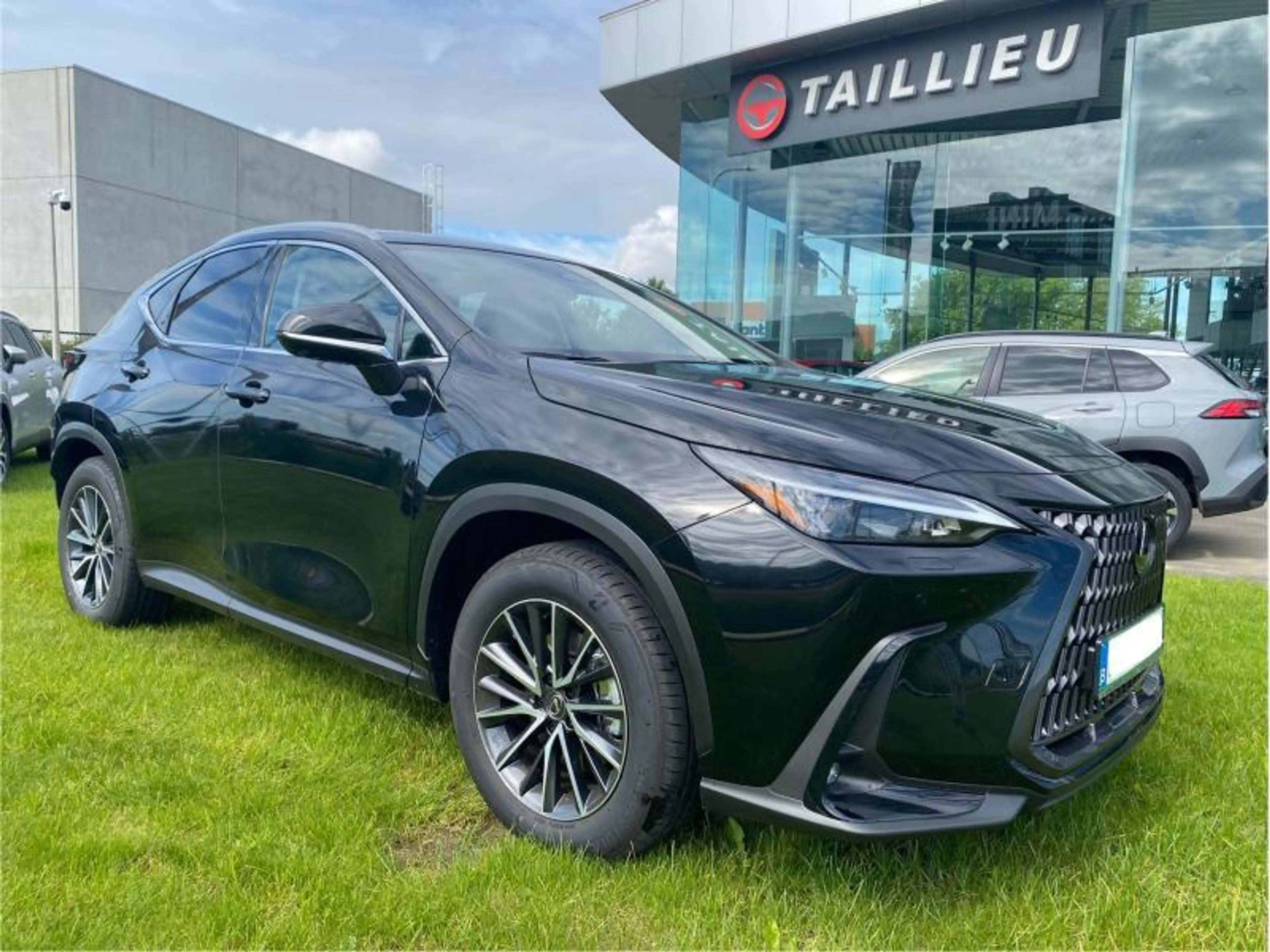 Lexus NX 350h Executive AWD + PANO DAK + HUD — photo 5