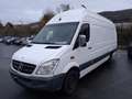 Mercedes-Benz Sprinter 313 CDI Sprinter 313L CDI 906.637 7GTronic Weiß - thumbnail 2