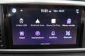 Kia Sportage 1.6 CRDI 136 CV 2WD DCT Mild Hybrid Business Class Argento - thumbnail 14