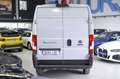 Fiat Ducato e Combi 3.500 L2 H2 47 kW Blanc - thumbnail 11