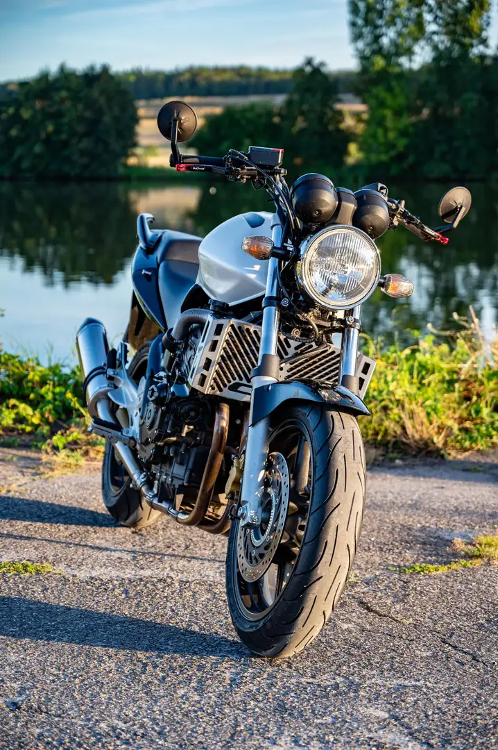 Honda CBF 600 PC38 ABS Білий - 1